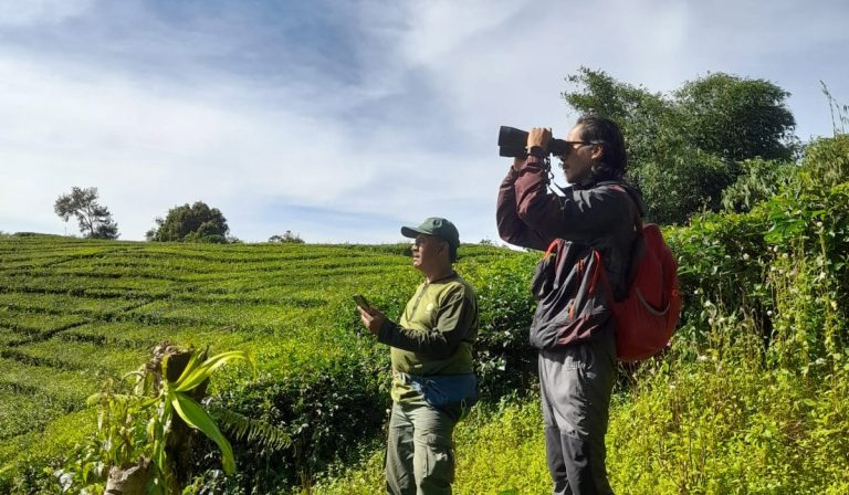 Observing environment