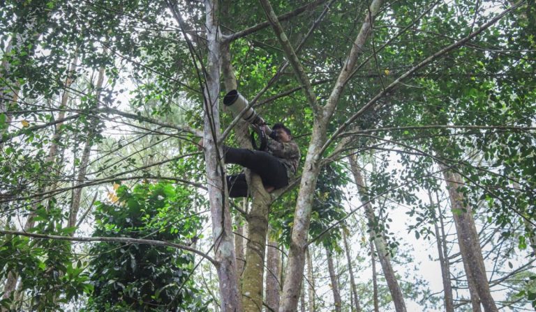 Biodiversity Survey in action